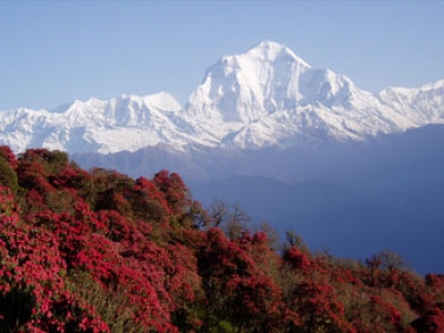 Annapurna Circuit Trek with Tilicho Lake and Poon Hill 